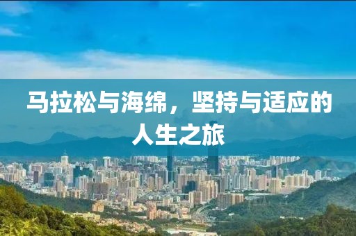 马拉松与海绵，坚持与适应的人生之旅