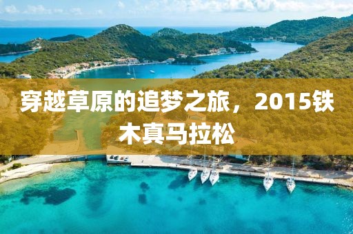 穿越草原的追梦之旅，2015铁木真马拉松
