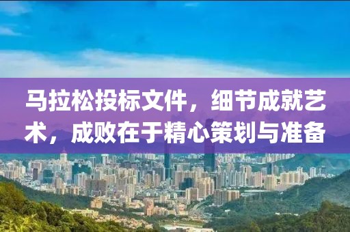 马拉松投标文件，细节成就艺术，成败在于精心策划与准备