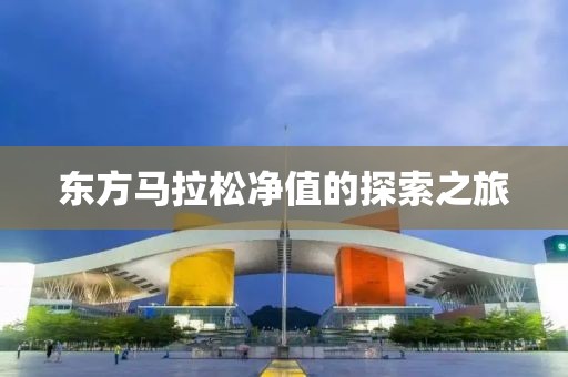 东方马拉松净值的探索之旅