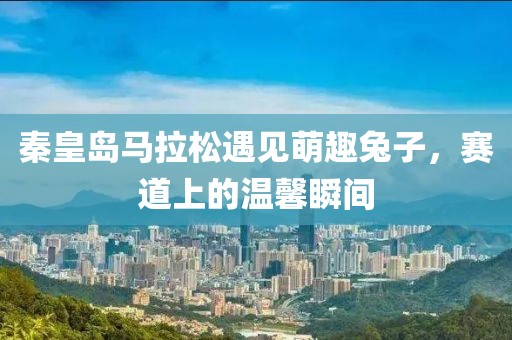 秦皇岛马拉松遇见萌趣兔子，赛道上的温馨瞬间