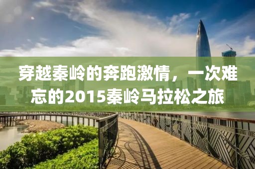 穿越秦岭的奔跑激情，一次难忘的2015秦岭马拉松之旅