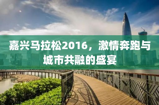 嘉兴马拉松2016，激情奔跑与城市共融的盛宴