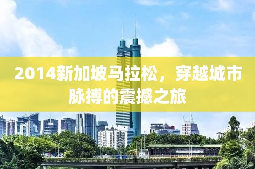 2014新加坡马拉松，穿越城市脉搏的震撼之旅