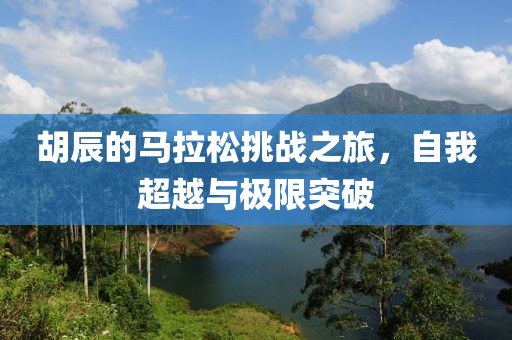 胡辰的马拉松挑战之旅，自我超越与极限突破