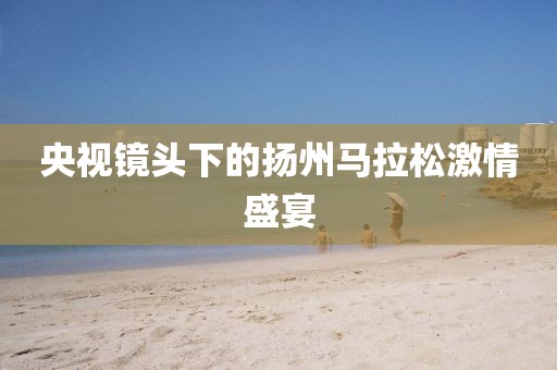 央视镜头下的扬州马拉松激情盛宴
