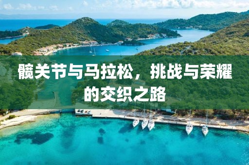 髋关节与马拉松，挑战与荣耀的交织之路