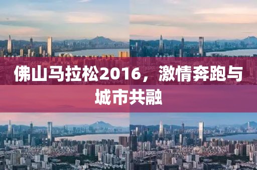 佛山马拉松2016，激情奔跑与城市共融