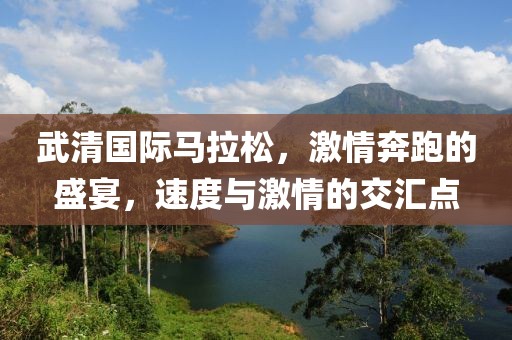 武清国际马拉松，激情奔跑的盛宴，速度与激情的交汇点