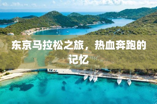 东京马拉松之旅，热血奔跑的记忆