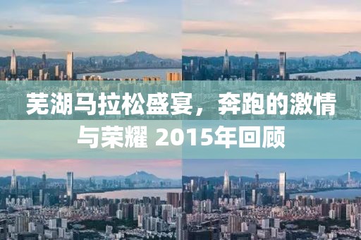 芜湖马拉松盛宴，奔跑的激情与荣耀 2015年回顾