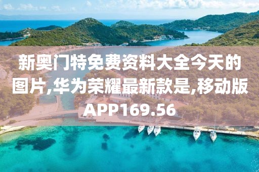 新奥门特免费资料大全今天的图片,华为荣耀最新款是,移动版APP169.56