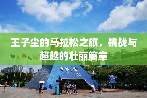 王子尘的马拉松之旅，挑战与超越的壮丽篇章