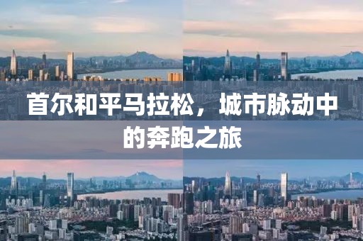 首尔和平马拉松，城市脉动中的奔跑之旅