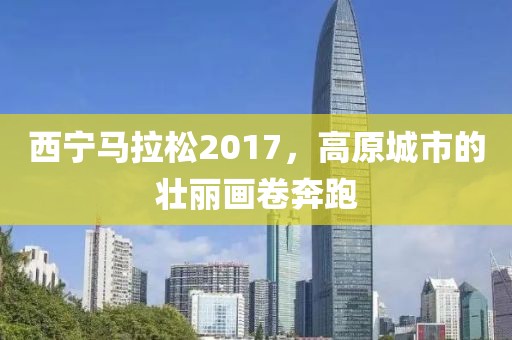 西宁马拉松2017，高原城市的壮丽画卷奔跑