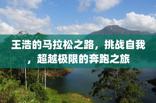 王浩的马拉松之路，挑战自我，超越极限的奔跑之旅