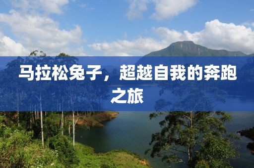 马拉松兔子，超越自我的奔跑之旅