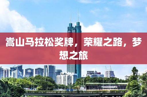 嵩山马拉松奖牌，荣耀之路，梦想之旅