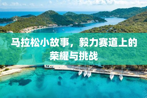 马拉松小故事，毅力赛道上的荣耀与挑战