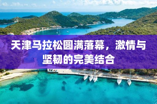 天津马拉松圆满落幕，激情与坚韧的完美结合