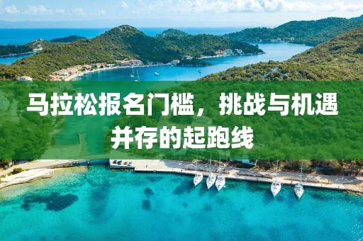 马拉松报名门槛，挑战与机遇并存的起跑线