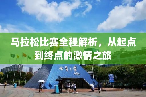 马拉松比赛全程解析，从起点到终点的激情之旅