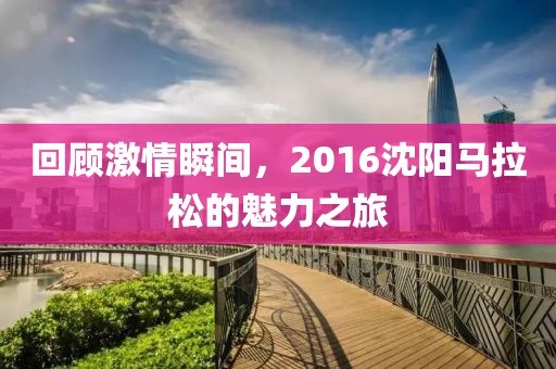 回顾激情瞬间，2016沈阳马拉松的魅力之旅