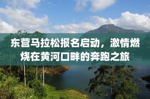 东营马拉松报名启动，激情燃烧在黄河口畔的奔跑之旅