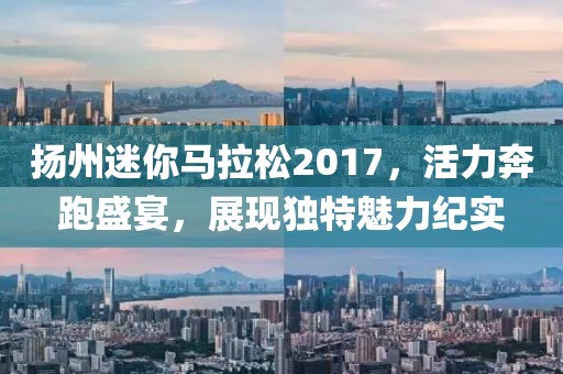扬州迷你马拉松2017，活力奔跑盛宴，展现独特魅力纪实