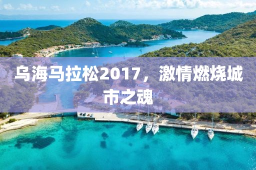 乌海马拉松2017，激情燃烧城市之魂