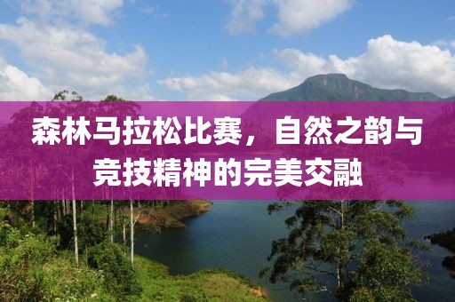 森林马拉松比赛，自然之韵与竞技精神的完美交融