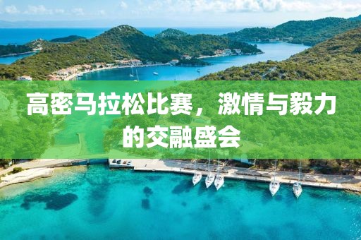 高密马拉松比赛，激情与毅力的交融盛会