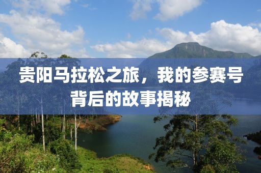 贵阳马拉松之旅，我的参赛号背后的故事揭秘