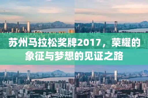 苏州马拉松奖牌2017，荣耀的象征与梦想的见证之路
