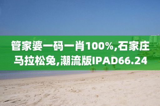 管家婆一码一肖100%,石家庄马拉松兔,潮流版IPAD66.24
