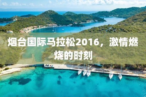 烟台国际马拉松2016，激情燃烧的时刻