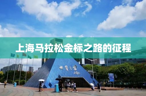 上海马拉松金标之路的征程