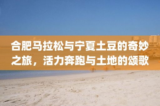 合肥马拉松与宁夏土豆的奇妙之旅，活力奔跑与土地的颂歌