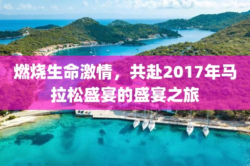 燃烧生命激情，共赴2017年马拉松盛宴的盛宴之旅