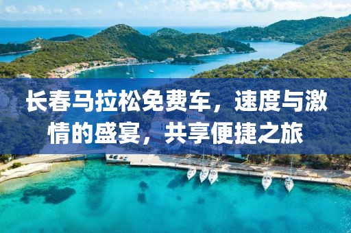 长春马拉松免费车，速度与激情的盛宴，共享便捷之旅