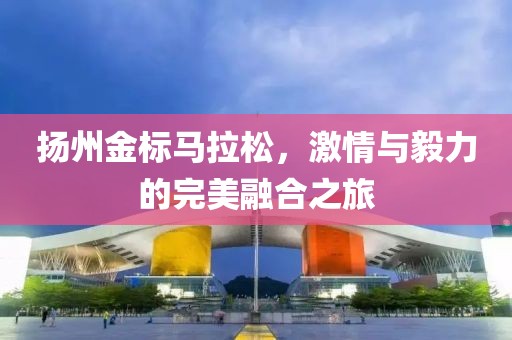 扬州金标马拉松，激情与毅力的完美融合之旅