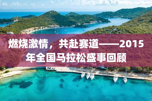 燃烧激情，共赴赛道——2015年全国马拉松盛事回顾