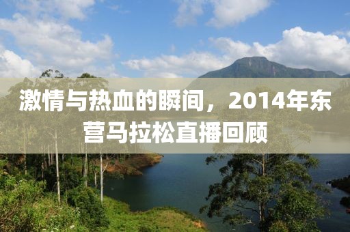 激情与热血的瞬间，2014年东营马拉松直播回顾