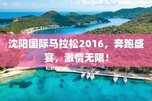 沈阳国际马拉松2016，奔跑盛宴，激情无限！