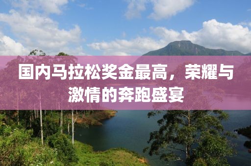 国内马拉松奖金最高，荣耀与激情的奔跑盛宴