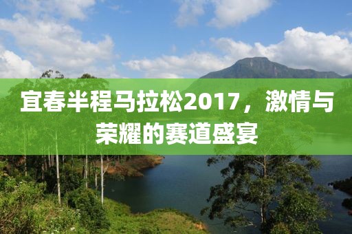 宜春半程马拉松2017，激情与荣耀的赛道盛宴