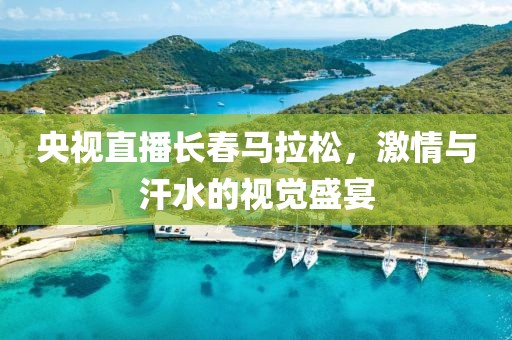 央视直播长春马拉松，激情与汗水的视觉盛宴