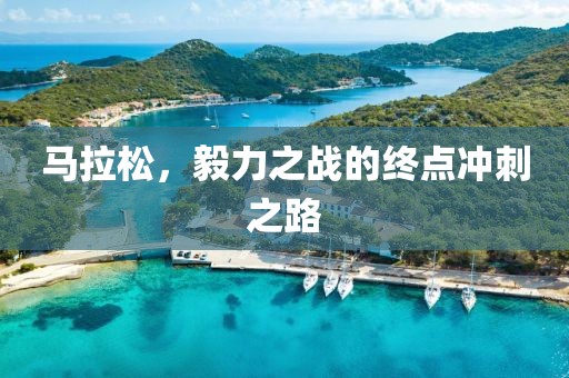 马拉松，毅力之战的终点冲刺之路