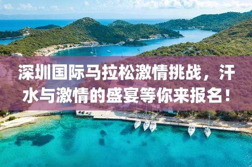 深圳国际马拉松激情挑战，汗水与激情的盛宴等你来报名！