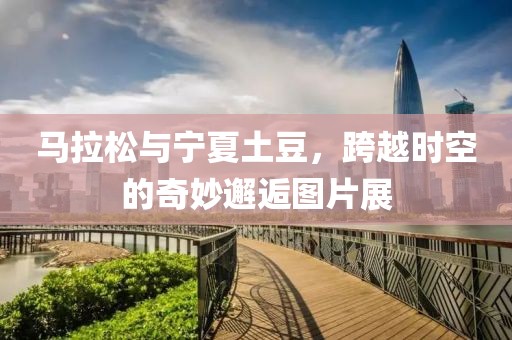 马拉松与宁夏土豆，跨越时空的奇妙邂逅图片展